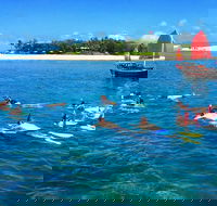 Low Island Snorkelling Private Charter Aboard Authentic Chinese Junk Boat - Accommodation QLD