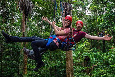 Daintree Atttractions Pass: The Best Of The Daintree In A Day - Accommodation QLD 1