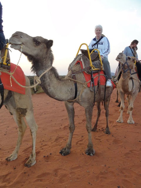 Uluru Small-Group Tour By Camel At Sunrise Or Sunset - Accommodation QLD 2