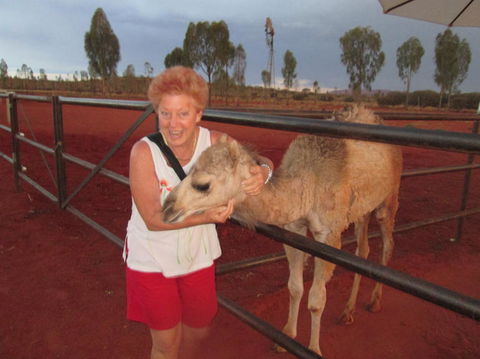 Uluru Small-Group Tour By Camel At Sunrise Or Sunset - Accommodation QLD 18