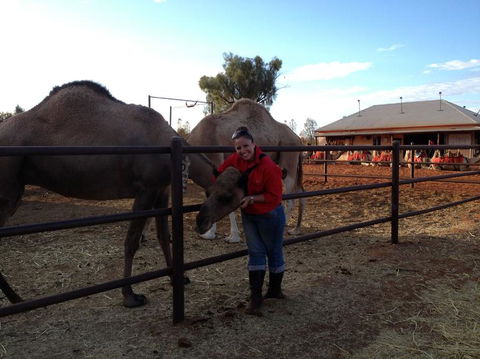 Uluru Small-Group Tour By Camel At Sunrise Or Sunset - Accommodation QLD 21
