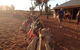 Uluru Small-Group Tour By Camel At Sunrise Or Sunset - thumb 22