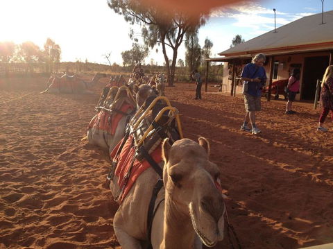 Uluru Small-Group Tour By Camel At Sunrise Or Sunset - Accommodation QLD 22