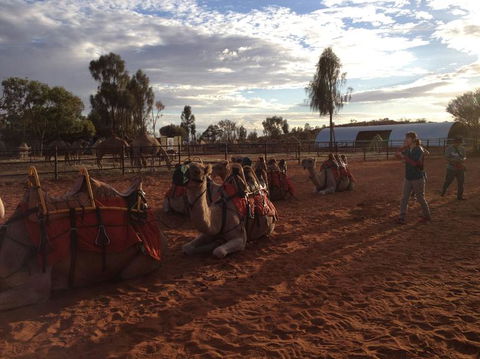 Uluru Small-Group Tour By Camel At Sunrise Or Sunset - Accommodation QLD 23