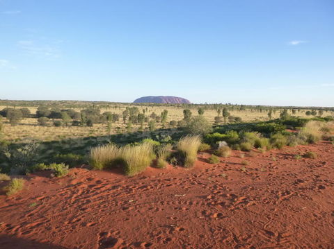 Uluru Small-Group Tour By Camel At Sunrise Or Sunset - Accommodation QLD 9