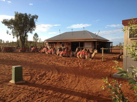 Uluru Small-Group Tour By Camel At Sunrise Or Sunset - Accommodation QLD 19