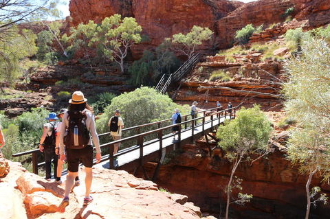 Kings Canyon Day Trip From Ayers Rock - Accommodation QLD 19