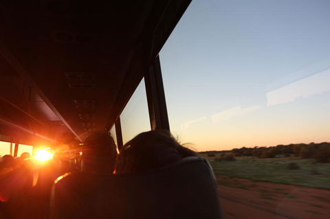 Kings Canyon Day Trip From Ayers Rock - Accommodation QLD 22