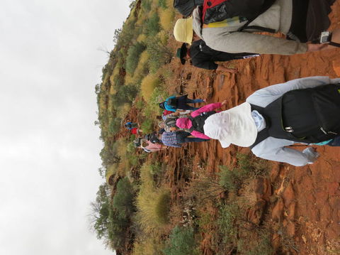 Kings Canyon Day Trip From Ayers Rock - Accommodation QLD 14