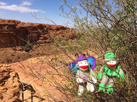 Kings Canyon Day Trip From Ayers Rock - Accommodation QLD 23