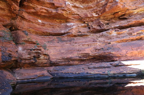 Kings Canyon Day Trip From Ayers Rock - Accommodation QLD 16