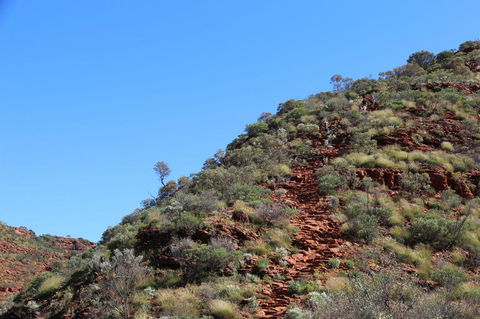 Kings Canyon Day Trip From Ayers Rock - Accommodation QLD 21
