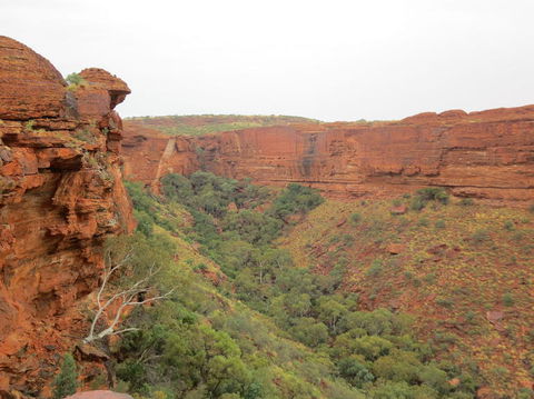 Kings Canyon Day Trip From Ayers Rock - Accommodation QLD 13