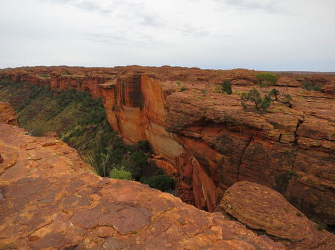 Kings Canyon Day Trip From Ayers Rock - Accommodation QLD 10