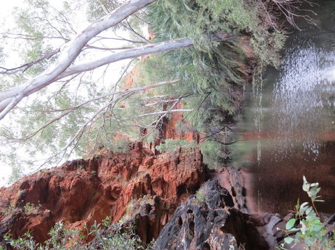 Kings Canyon Day Trip From Ayers Rock - Accommodation QLD 11