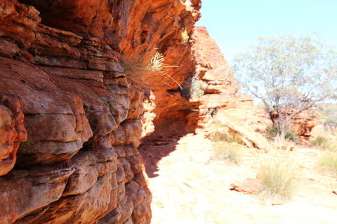 Kings Canyon Day Trip From Ayers Rock - Accommodation QLD 20