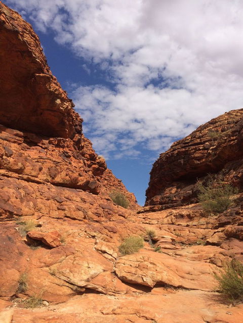 Kings Canyon Day Trip From Ayers Rock - Accommodation QLD 25