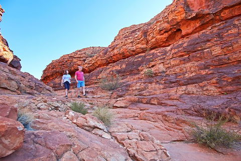 Kings Canyon Day Trip From Ayers Rock - Accommodation QLD 31