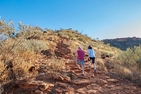 Kings Canyon Day Trip From Ayers Rock - Accommodation QLD 27