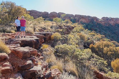 Kings Canyon Day Trip From Ayers Rock - Accommodation QLD 26
