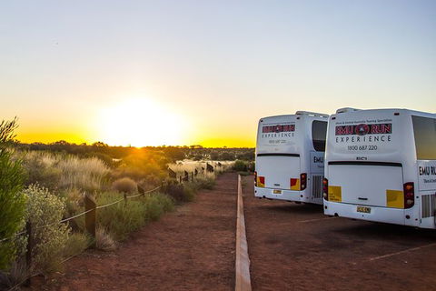 Uluru And Kata Tjuta Experience With BBQ Dinner - Accommodation QLD 4
