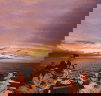 Darwin Harbour Sunset Cruise with Optional Buffet Dinner - Accommodation QLD