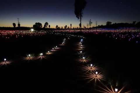 Uluru Field Of Light Sunrise Tour - Accommodation QLD 2