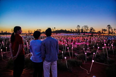 Uluru Field Of Light Sunrise Tour - Accommodation QLD 5