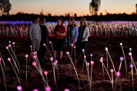 Uluru Field Of Light Sunrise Tour - Accommodation QLD 10