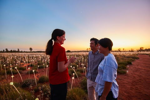 Uluru Field Of Light Sunrise Tour - Accommodation QLD 9