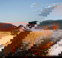 Uluru Ayers Rock Sunset with Outback Barbecue Dinner and Star Tour - Accommodation QLD