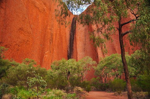 Uluru Sunrise And Guided Base Walk - Accommodation QLD 14