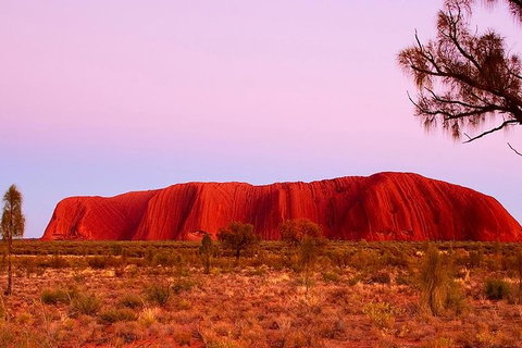 Uluru Small Group Tour Including Sunset - Accommodation QLD 1