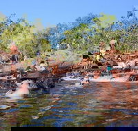 Litchfield and Jumping Crocodiles Full Day Trip from Darwin - Accommodation QLD