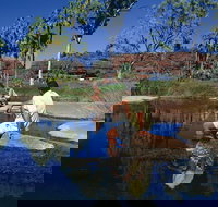 Palm Valley 4WD Tour - Accommodation QLD