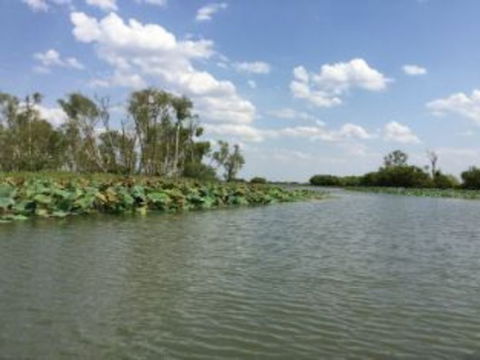 1 Day Corroboree Billabong Wetland Experience Including 2.5 Hour Cruise + Lunch - Accommodation QLD 4