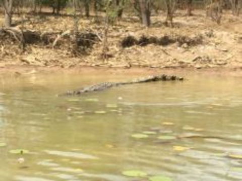 1 Day Corroboree Billabong Wetland Experience Including 2.5 Hour Cruise + Lunch - Accommodation QLD 5