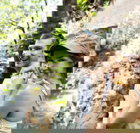 Small-Group Litchfield National Park Day Trip from Darwin - Accommodation QLD