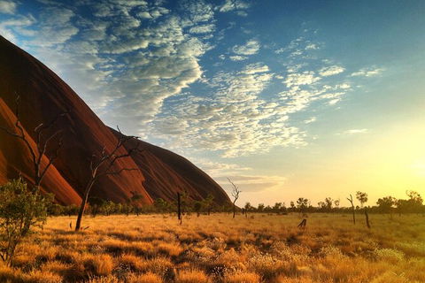 Highlights Of Uluru Including Sunrise And Breakfast - Accommodation QLD 5
