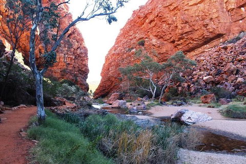 Half Day MacDonnell Ranges Small Group - Private Guided Tour - Accommodation QLD 0