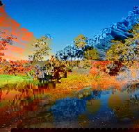 Palm Valley 4WD Day Tour - Accommodation QLD