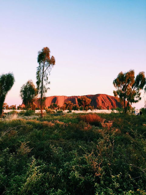 Uluru & Kata Tjuta Sights & Sounds - Accommodation QLD 3