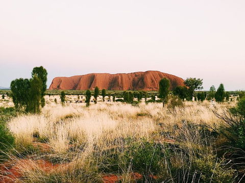 Uluru & Kata Tjuta Sights & Sounds - Accommodation QLD 4
