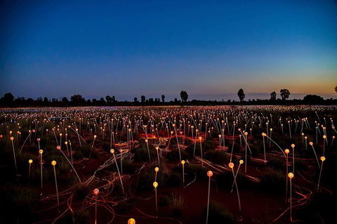 Uluru & Kata Tjuta Sights & Sounds - Accommodation QLD 8