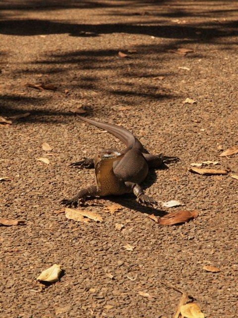 Katherine Day Tour From Darwin Including Katherine Gorge Cruise - Accommodation QLD 9