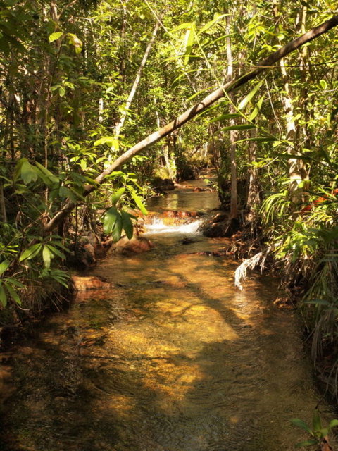 Katherine Day Tour From Darwin Including Katherine Gorge Cruise - Accommodation QLD 10
