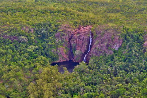 Litchfield Park & Daly River - Scenic Flight From Darwin - Accommodation QLD 9