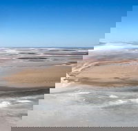 Scenic Flight Lizard Safari - Accommodation QLD