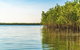 1 Hour Darwin Airboat Tours - thumb 7