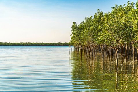 1 Hour Darwin Airboat Tours - Accommodation QLD 7